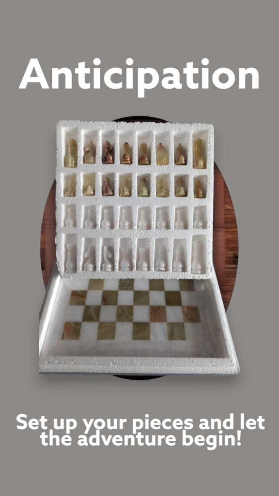 Chess Set MG/White