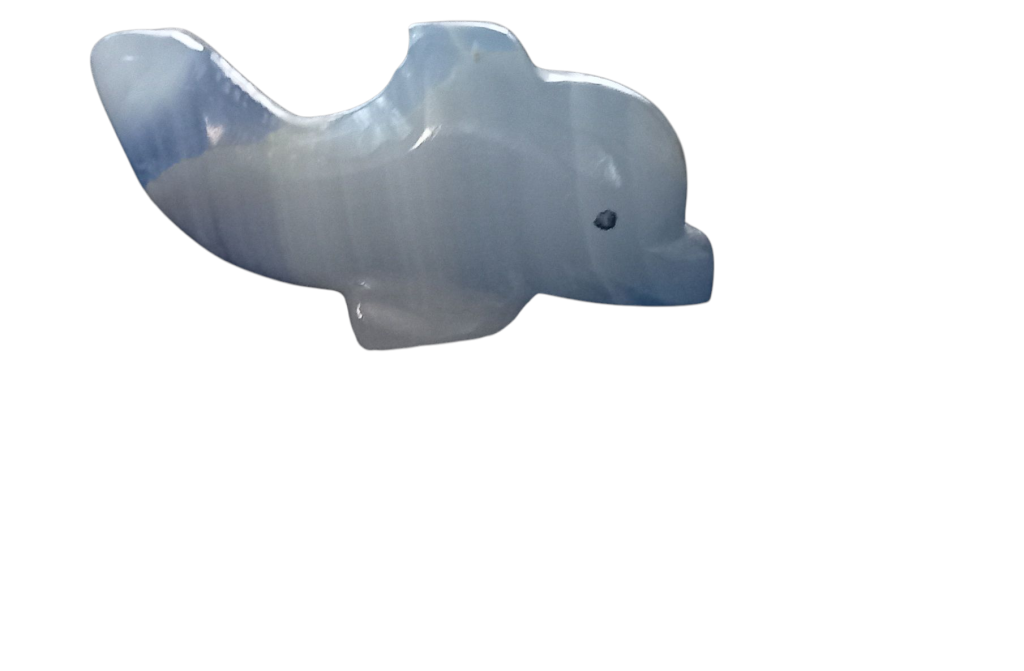 Onyx Colored Dolphin Up tail