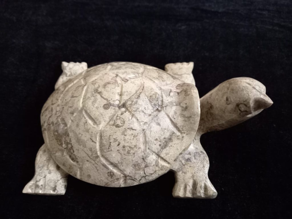Turtle shape Soap dish