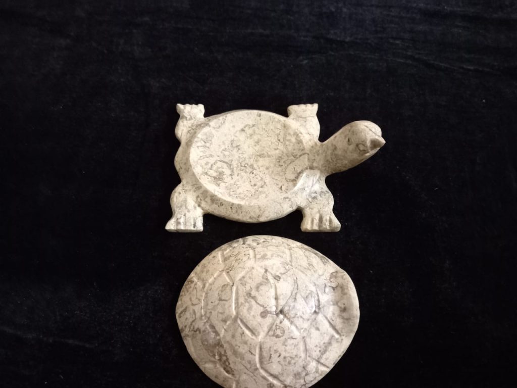 Turtle shape Soap dish Open shell